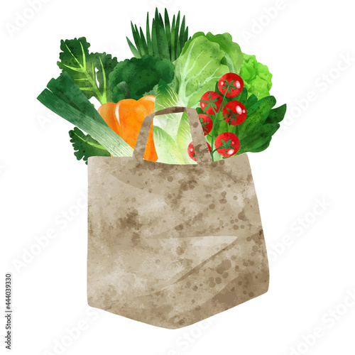 Fresh green vegetables in paper bag, hand drawn