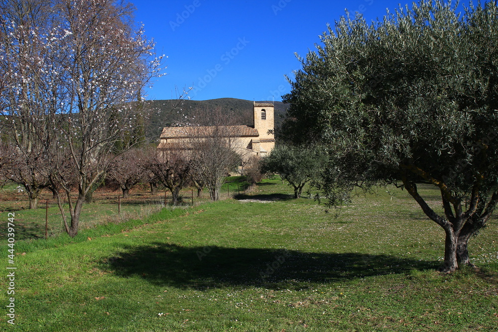 The church of Saint Barthélemy in Vaugines seen through trees on a sunny winter morning (Luberon, Vaucluse, France)