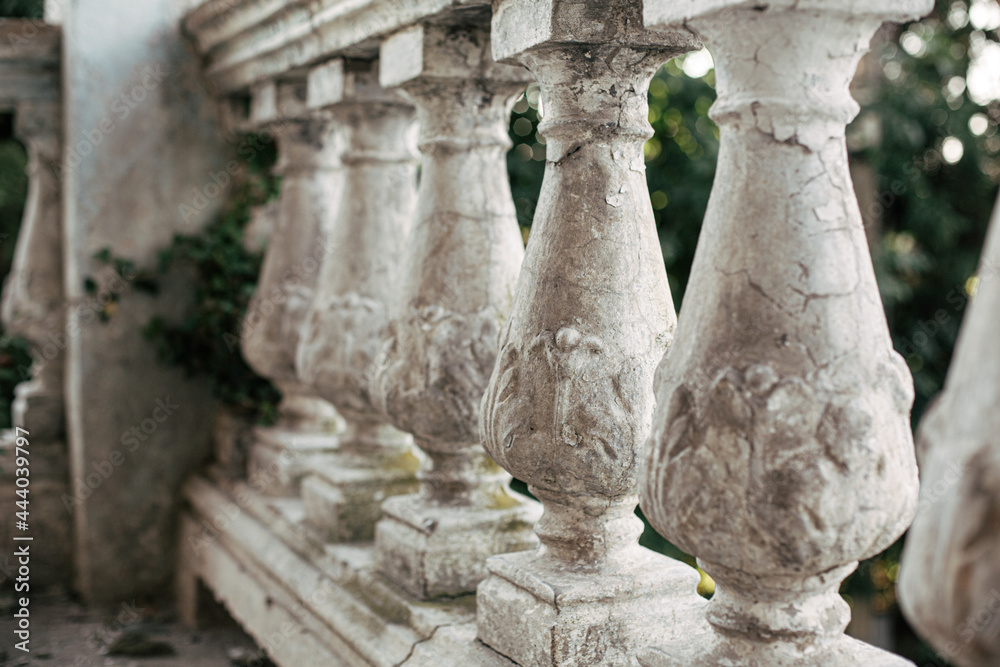 Fototapeta premium Ivy on the vintage pillars columns