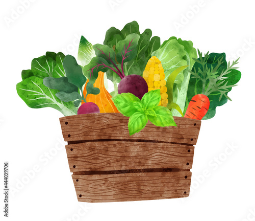 Fresh veggies in wooden box, hand drawn vector