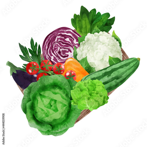Fresh veggies in wooden box, hand drawn vector