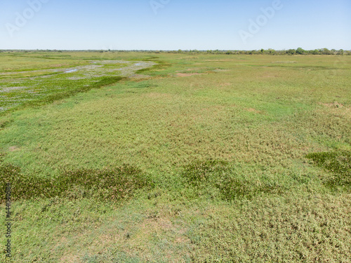 Per  odo de seca no Pantanal do Mato Grosso pr  ximo    Porto Jofre. Brasil
