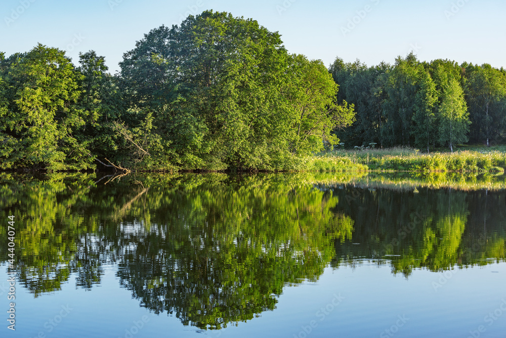 Trees by the lake at sunset.