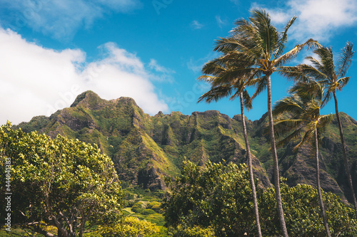 Mountains in Hawaii