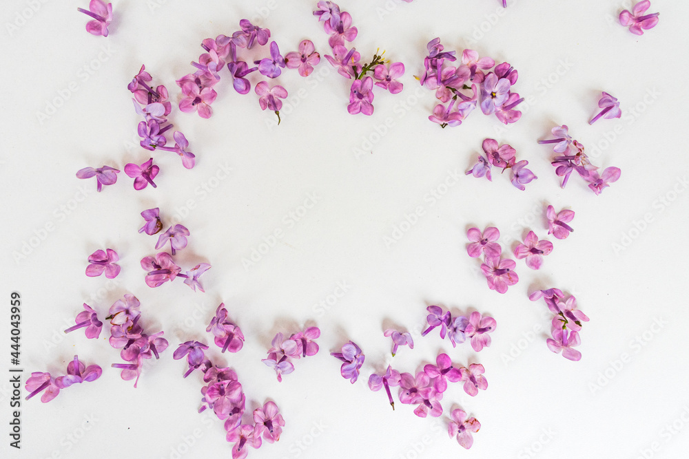 frame of branches and flowers of lilac on a pink background.blank for cards for spring, Easter, mother's day, women's day, Valentine's day. top view, copy space