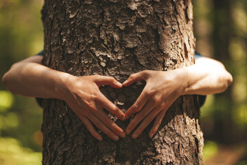 Hug with a tree and make a heart with your hands. Caring for and unity with nature.