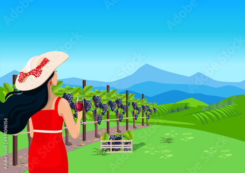 A beautiful girl with loose hair and a glass of wine in her hand looks at the vineyard. Grape harvest and winemaking. Vector illustration.