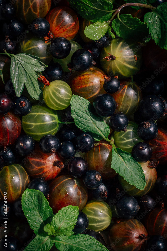Gooseberries, currants on a plate. Berries. Summer Gooseberries, currants on a plate. Berries. Summer