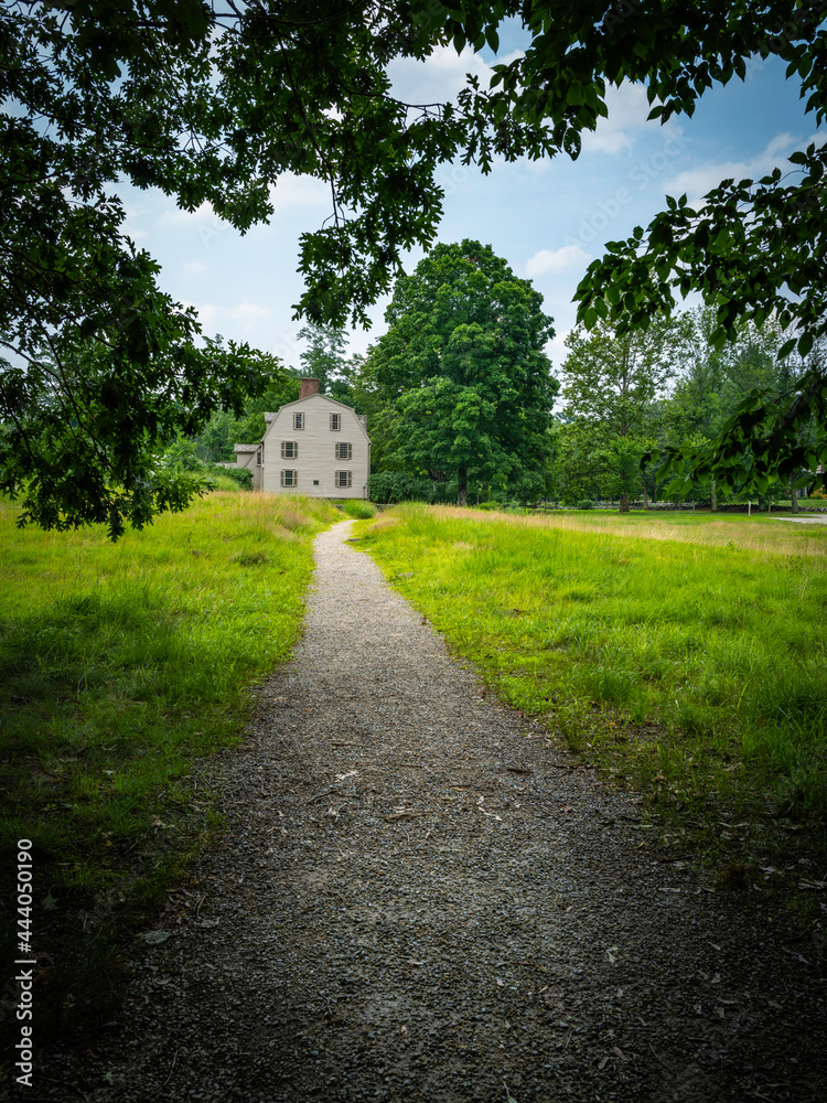 Green Field Forest Landscape. Curved Footpath in the Woods. Nature Trail Trip Image with Space for Text. Green Field Forest Landscape. Curved Footpath in the Woods. Nature Trail Trip Image with Space for Text.