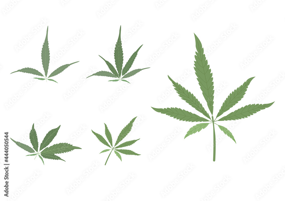 Cannabis herb object for medical treatment vector ep05