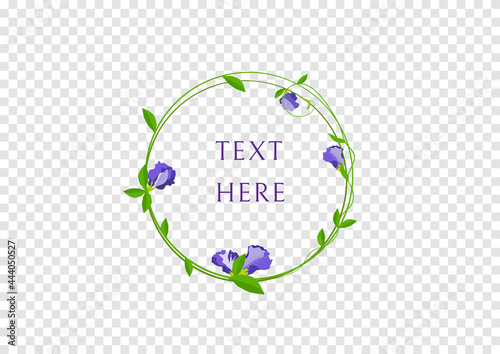 butterfly pea flower frame vector isolated on transparency background
