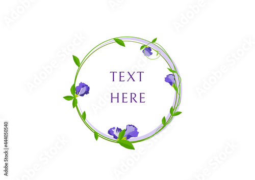 butterfly pea flower frame vector isolated on white background