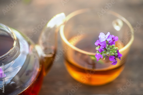 Matthiola incana, Brompton stock, common stock, hoary stock, ten-week stock, and gilly-flower tea with fresh quotes, which can give an antiseptic effect