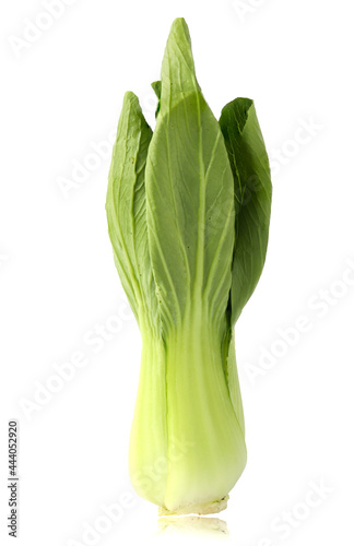 Fresh bok choy vegetable fresh (chinese cabbage) isolated on white background