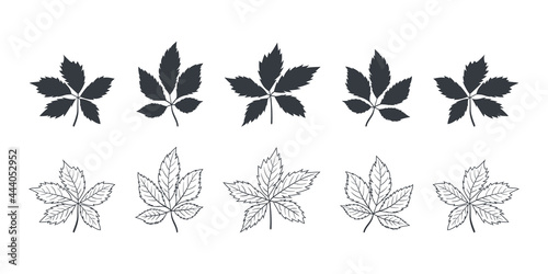 Leaves icon. Tree leaves of different types in autumn and summer. Vector illustration