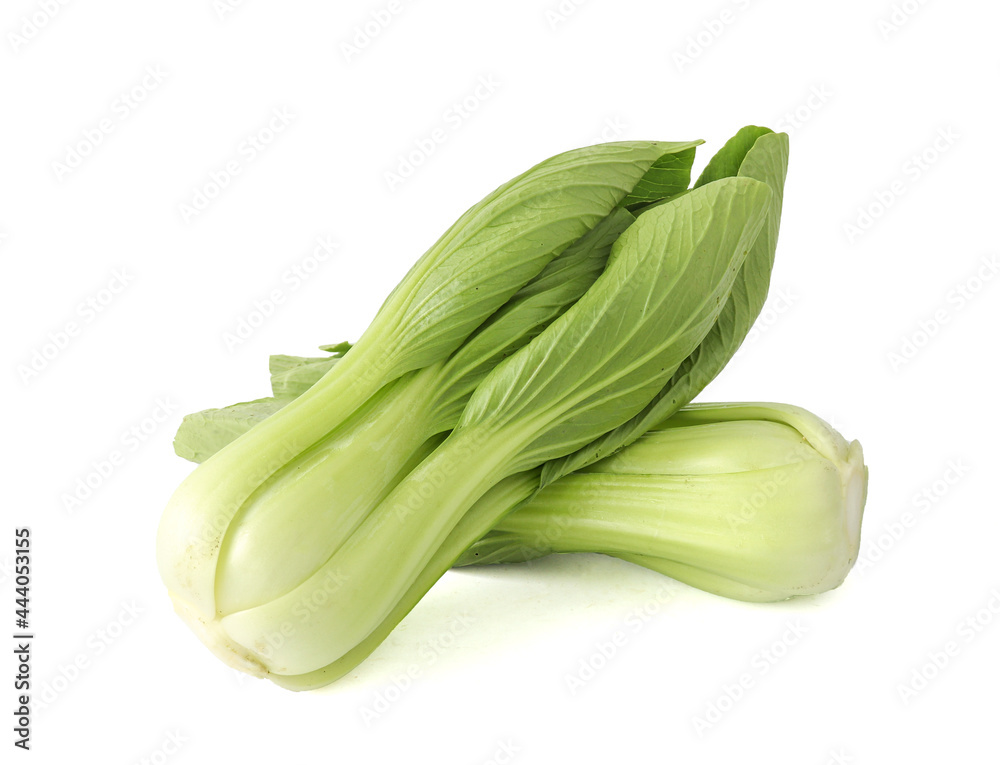 Fresh bok choy vegetable fresh (chinese cabbage) isolated on white background Fresh bok choy vegetable fresh (chinese cabbage) isolated on white background