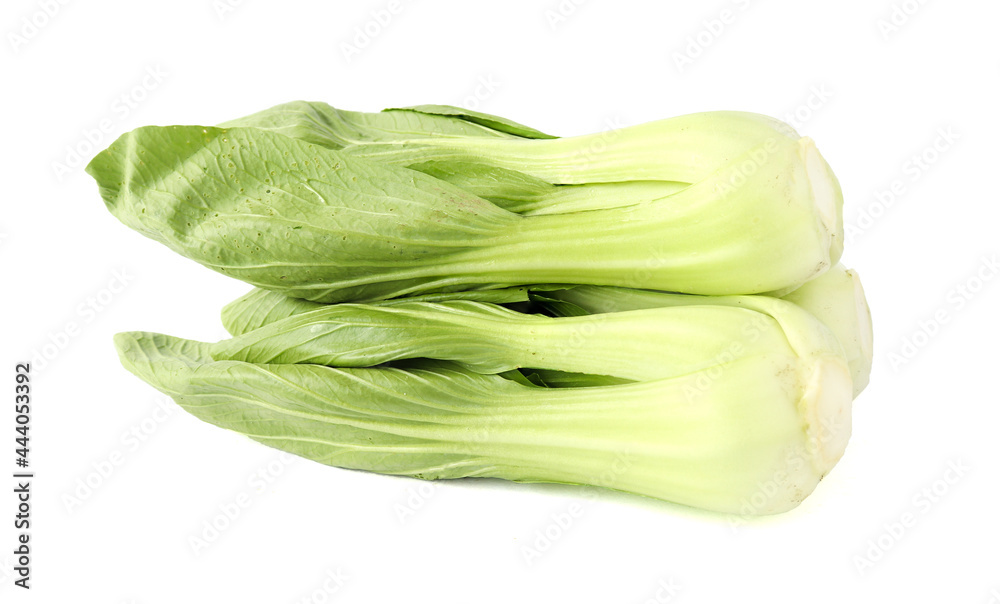 Fresh bok choy vegetable fresh (chinese cabbage) isolated on white background Fresh bok choy vegetable fresh (chinese cabbage) isolated on white background