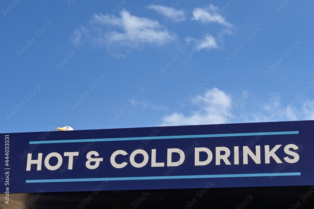 Sign above a seafront cafe selling hot and cold drinks. A seagull is peering over the top of the sign. No people. Sign above a seafront cafe selling hot and cold drinks. A seagull is peering over the top of the sign. No people.