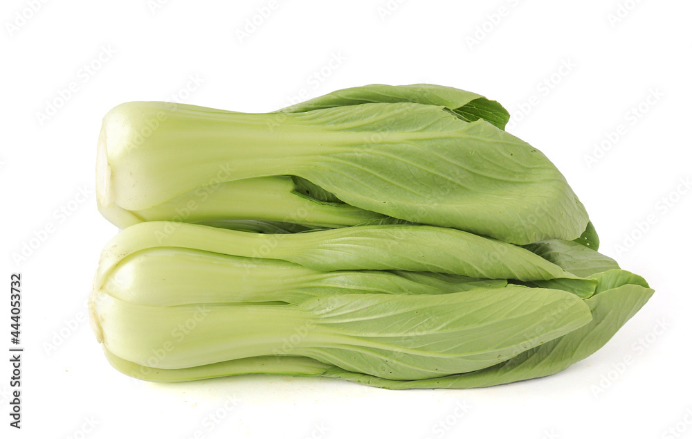 Fresh bok choy vegetable fresh (chinese cabbage) isolated on white background Fresh bok choy vegetable fresh (chinese cabbage) isolated on white background