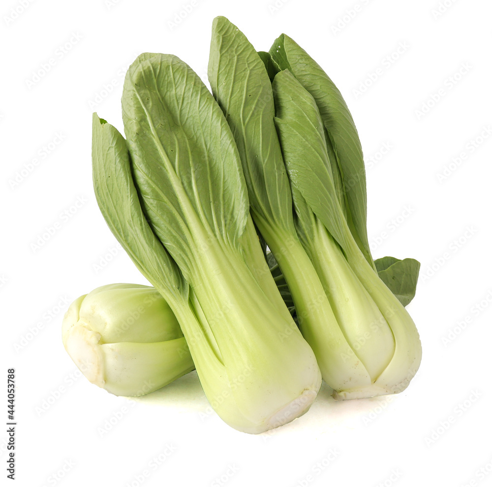 Fresh bok choy vegetable fresh (chinese cabbage) isolated on white background Fresh bok choy vegetable fresh (chinese cabbage) isolated on white background