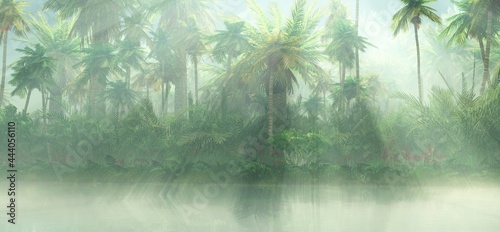 Rain in the jungle  tropical forest in the morning fog  palm trees in the sun