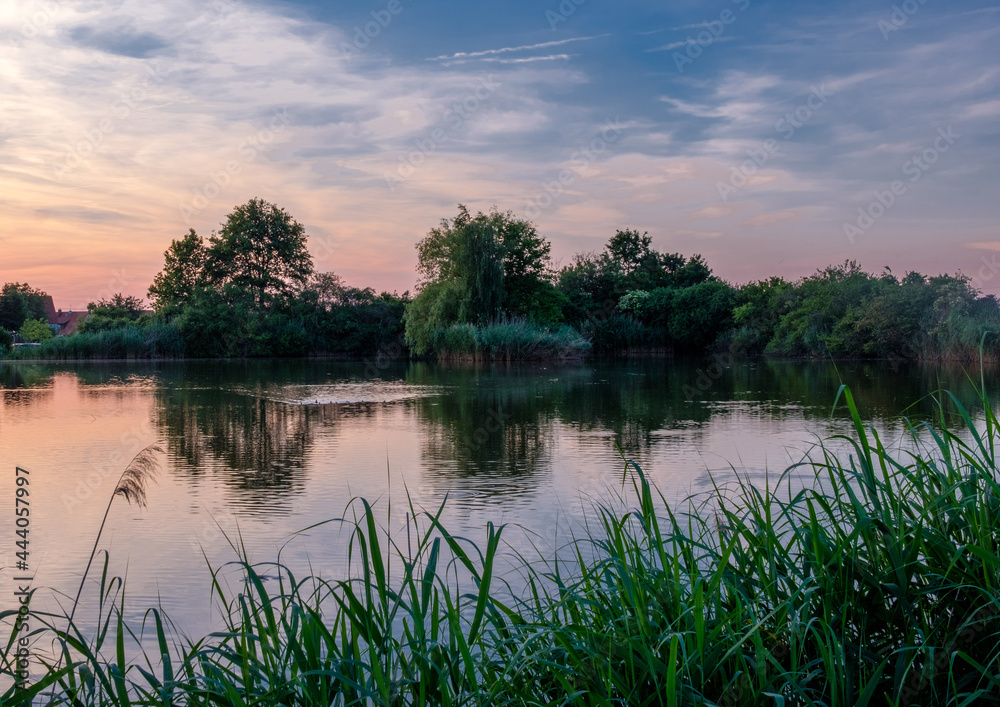 Die Abenddämmerung an Fischweihern Die Abenddämmerung an Fischweihern