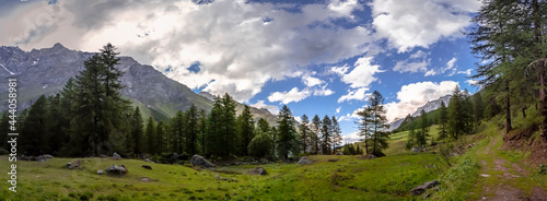 Panorama along the hiking trail in the Gran Paradiso National Park with views of the mountains, meadows, pastures and woods. In Rhemes Notre Dame, Aosta Valley, Italy