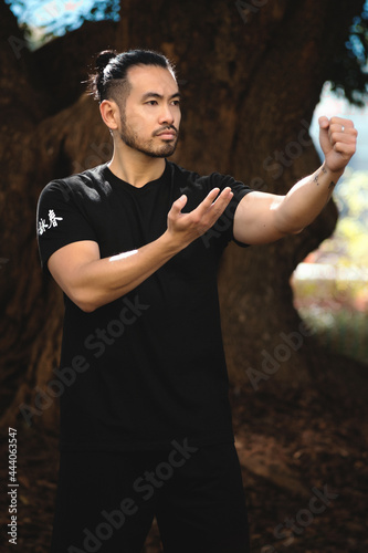 chinese man practicing kung fu in the park