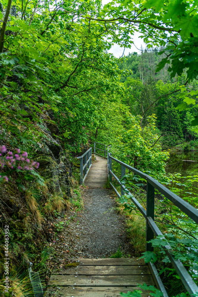 Fototapeta premium The Burgkhammer Dam, an integral part of the Saale Cascade, is known for its picturesque location and historical significance. Built between 1930 and 1932
