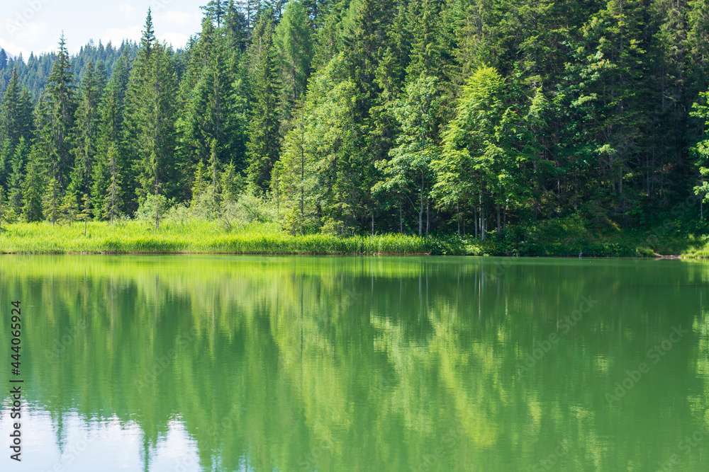 a splendid lake in the high mountains surrounded by the Green Forest in summer