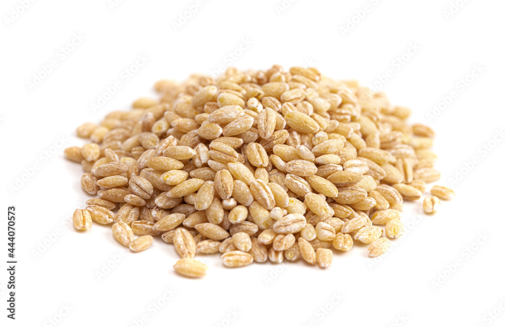 Pile of Barley Wheat Isolated on a White Background Pile of Barley Wheat Isolated on a White Background