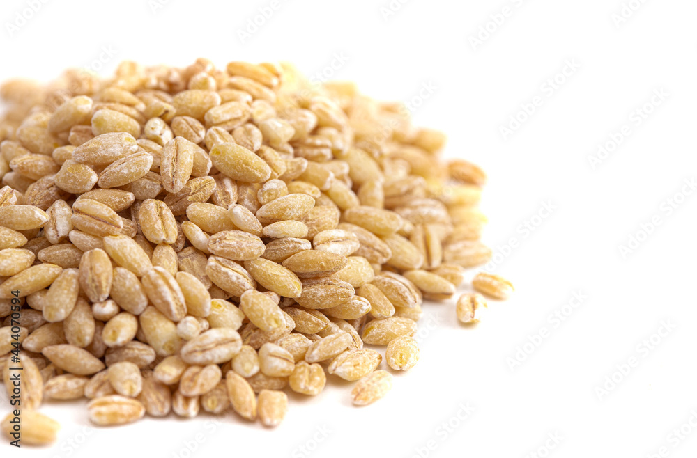 Pile of Barley Wheat Isolated on a White Background Pile of Barley Wheat Isolated on a White Background