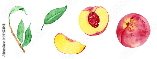 Fototapeta Naklejka Na Ścianę i Meble -  Set of watercolor fruit elements of peaches - fruit, slice and  leaves, isolated on a white background.