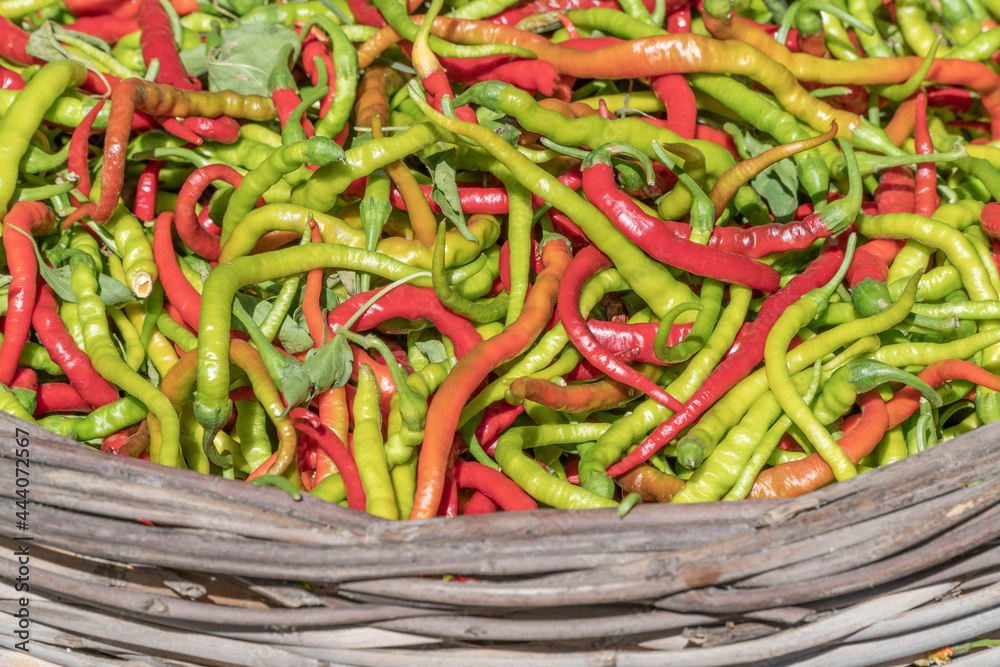 pile of colorful fresh peppers as a background