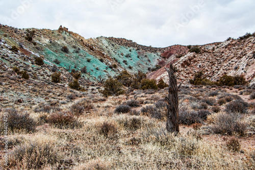 landscape in the Moab desert