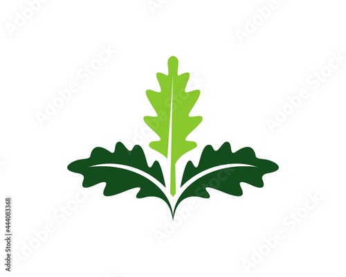 oak leaf logo