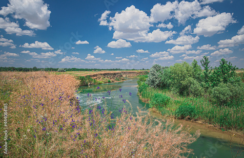 Fototapeta Naklejka Na Ścianę i Meble -  Yegorlyk River with o steppe flowers in the foreground
