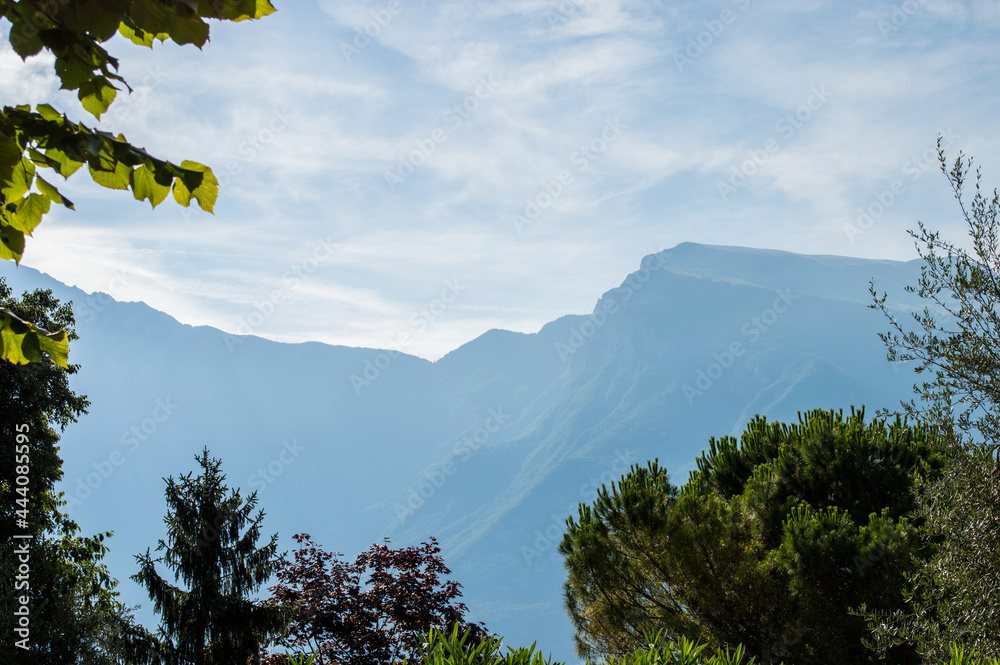 Sommer in Italien, Pflanzen im Vordergrund mit den Bergen des Gardasees im Hintergrund Sommer in Italien, Pflanzen im Vordergrund mit den Bergen des Gardasees im Hintergrund