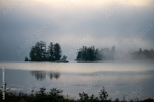 Morning Fog © Neil
