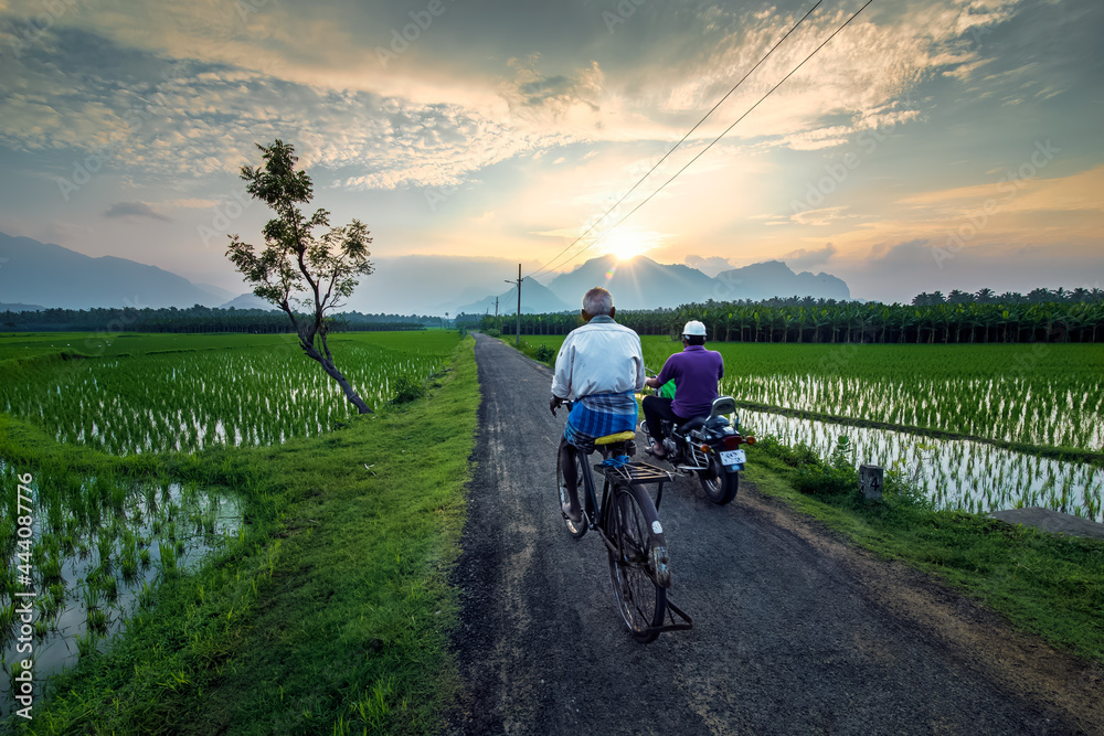 A village formers with bicycle and bike in rural growing Paddy rice