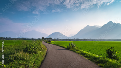 Canvas Print Beautiful landscape growing Paddy rice field two side with long road and mountain blue sky background view near Nagercoil, Kanyakumari District