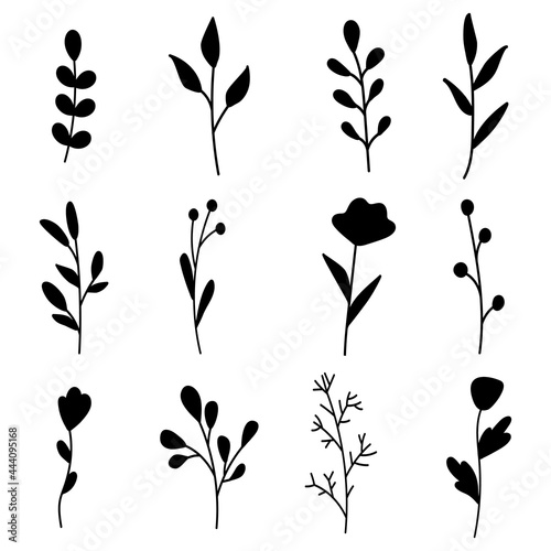 Collection of minimalistic simple floral elements. Graphic sketch. Fashionable tattoo design. Flowers  grass and leaves. Botanical natural elements. Vector illustration. Outline  line  doodle style.