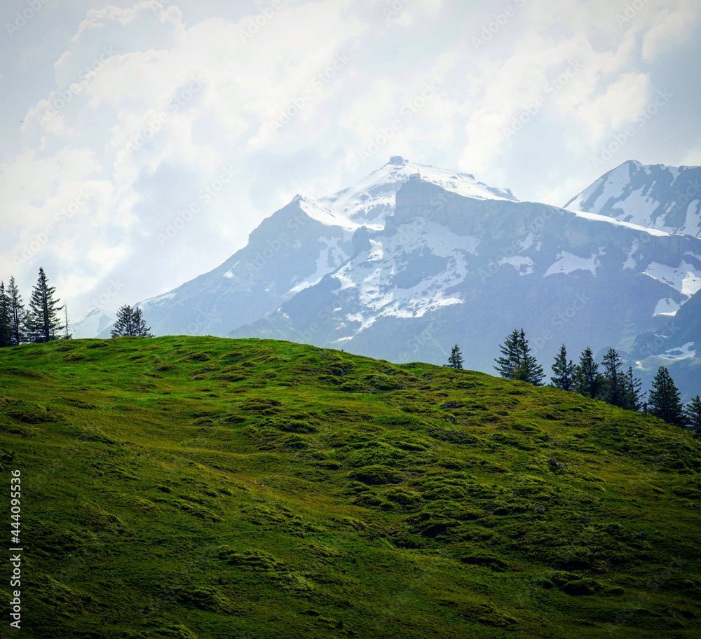 Fototapeta premium Schweiz