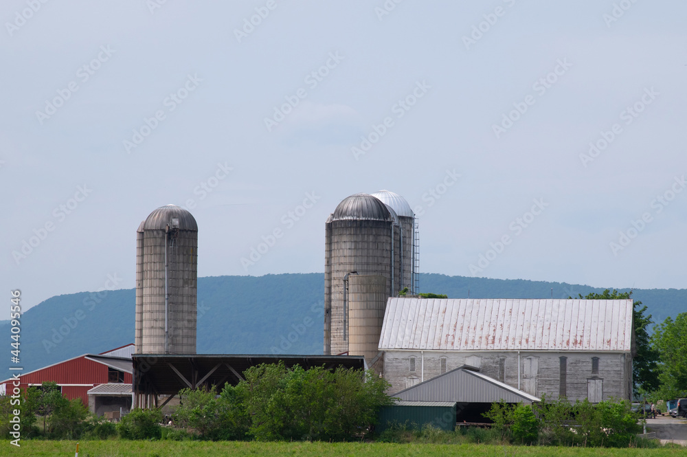 Grain storage silos farm industrial metal modern food country
