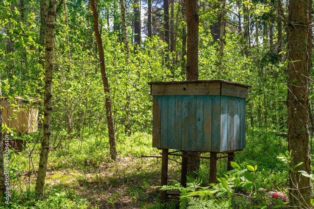 bee hive in the forest to collect organic honey bee hive in the forest to collect organic honey