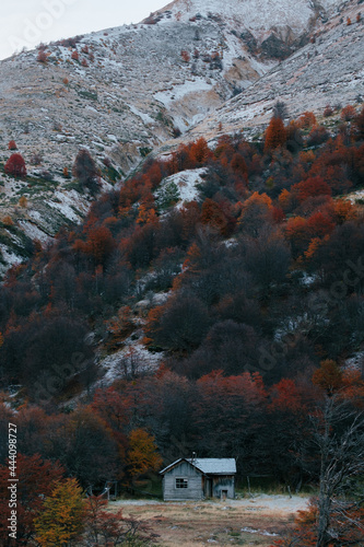 Abandoned Cabin photo