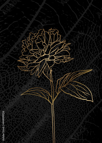 Minimalist botanical illustration. Golden outline of a plant on a black background.. Suitable for posters, greeting cards, corporate cards and invitations, book covers and notebooks.