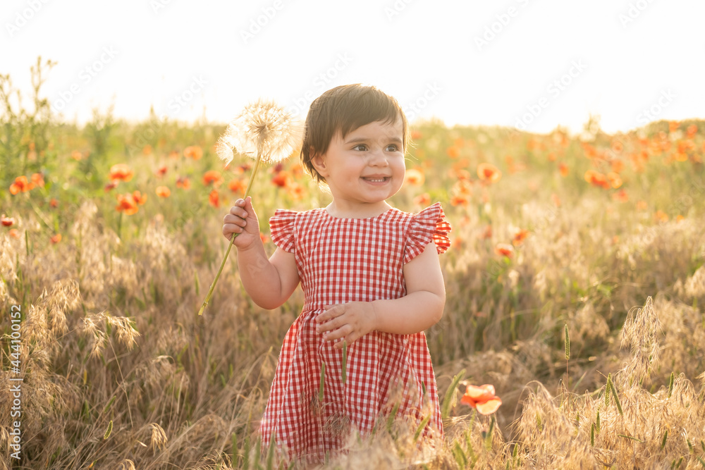 cute baby girl in red dress holding large dandelion on field of poppies at summer sunset cute baby girl in red dress holding large dandelion on field of poppies at summer sunset