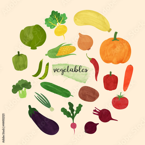 Set of vegetables in a watercolor style. The vegetables are arranged by color and circle. Isolated vector illustrations