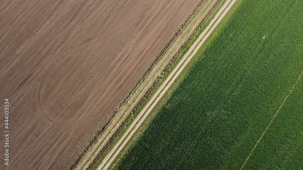 Obraz premium texture